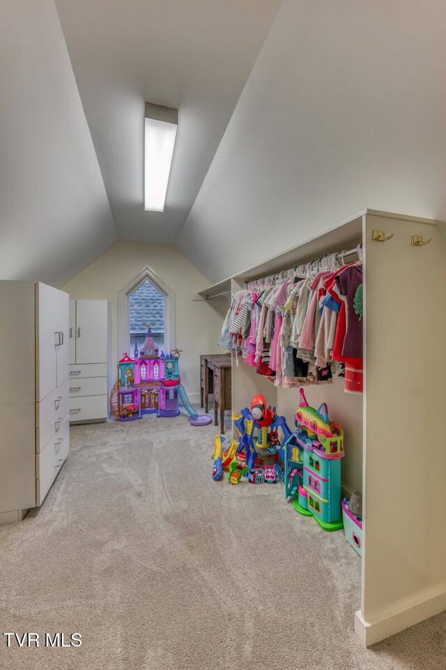 1009 Gloucester Ct, Kingsport, TN 37660 - photo 56