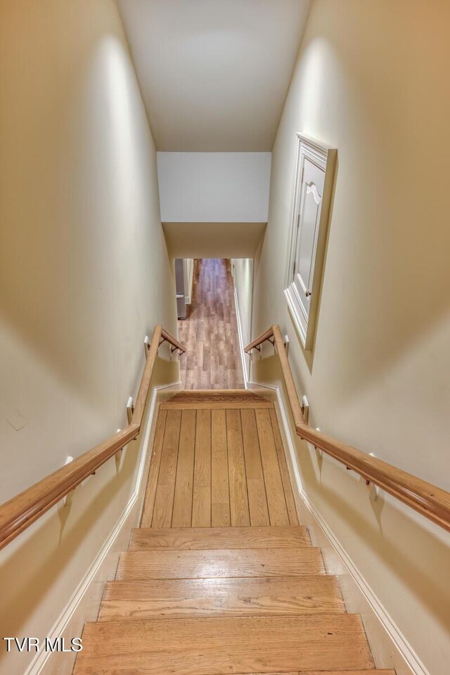 1009 Gloucester Ct, Kingsport, TN 37660 - photo 60