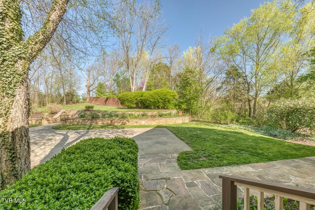 1009 Gloucester Ct, Kingsport, TN 37660 - photo 96