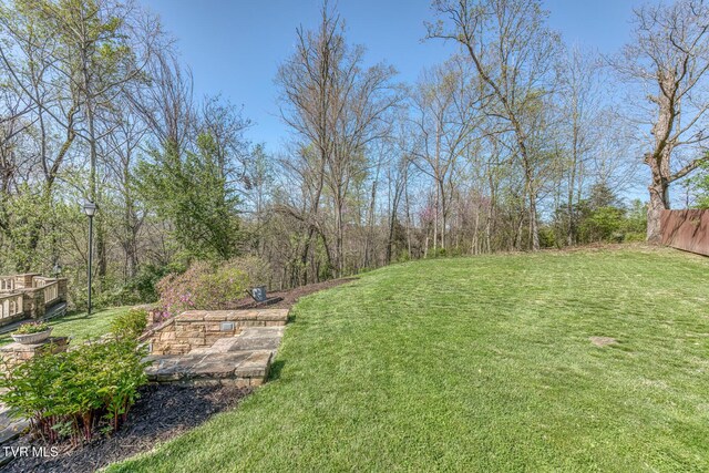 1009 Gloucester Ct, Kingsport, TN 37660 - photo 83