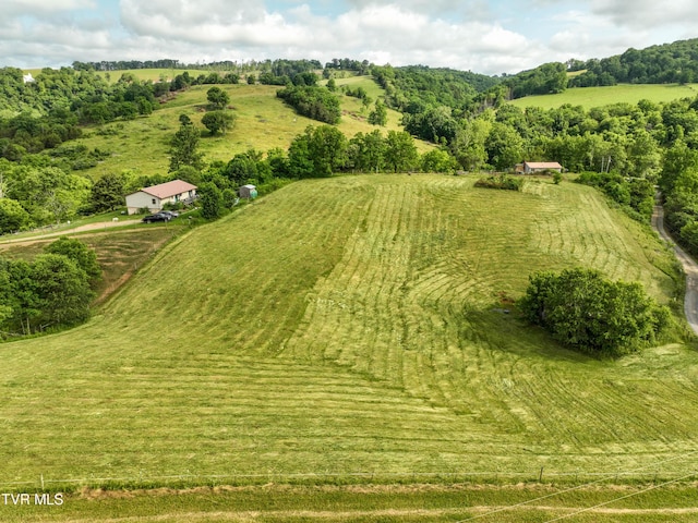 194 Harris Mill Dr, Nickelsville, VA 24271 - photo 31
