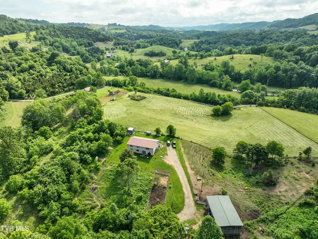 194 Harris Mill Dr, Nickelsville, VA 24271 - photo 33