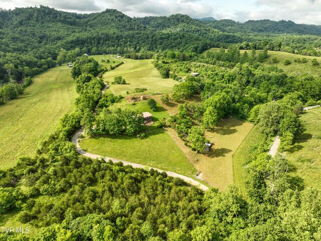 194 Harris Mill Dr, Nickelsville, VA 24271 - photo 37