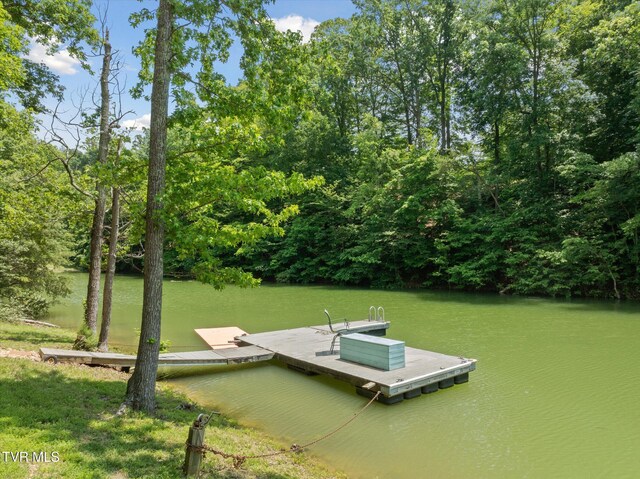 929 Black Alder Ln, Dandridge, TN 37725 - photo 6