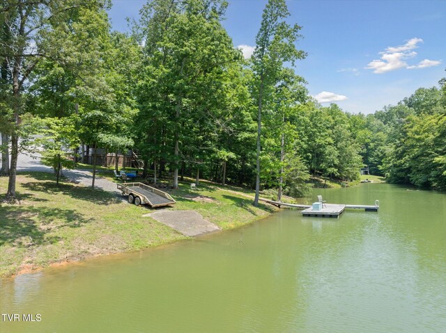 929 Black Alder Ln, Dandridge, TN 37725 - photo 5