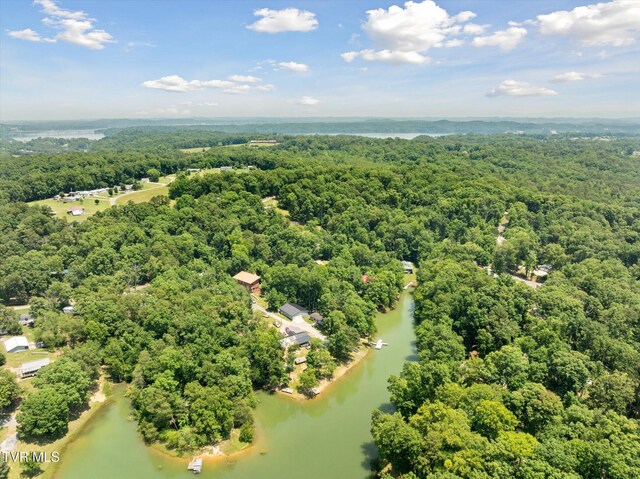 929 Black Alder Ln, Dandridge, TN 37725 - photo 7