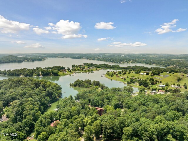 929 Black Alder Ln, Dandridge, TN 37725 - photo 8