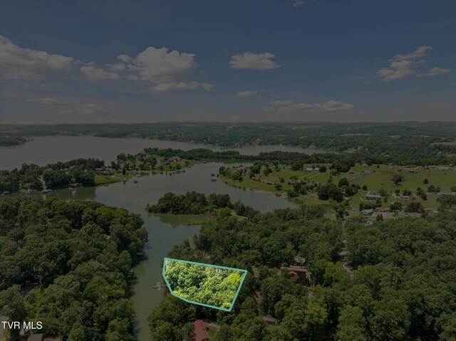 929 Black Alder Ln, Dandridge, TN 37725 - photo 9