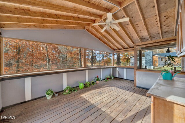 929 Black Alder Ln, Dandridge, TN 37725 - photo 19