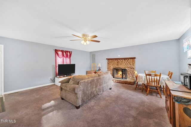 929 Black Alder Ln, Dandridge, TN 37725 - photo 11