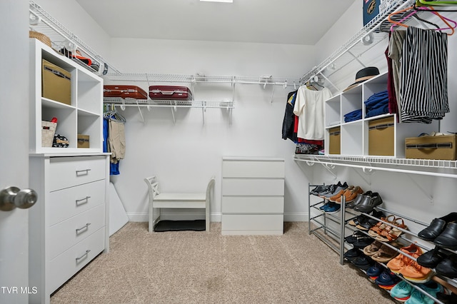 1844 Weaver Branch Rd, Piney Flats, TN 37686 - spacious closet featuring carpet flooring
