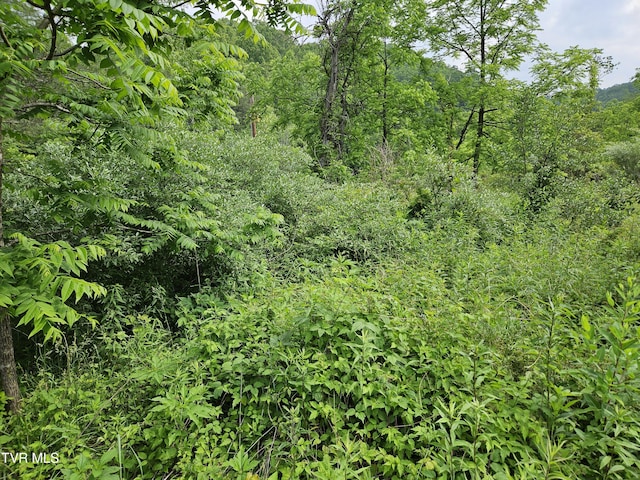6770 State Rte 606, Keokee, VA 24265