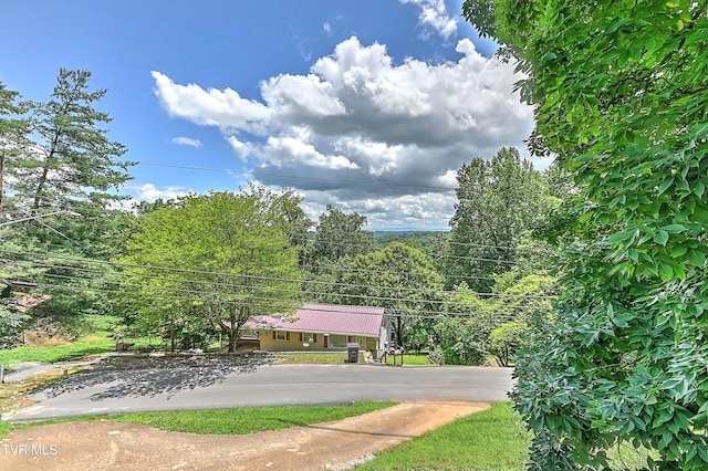 1259 Ridgecrest Ave, Kingsport, TN 37660 - photo 5