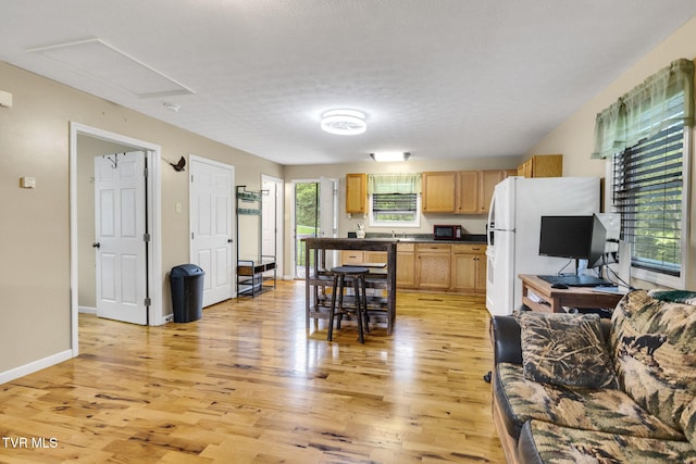 6720 Canton Rd, Blackwater, VA 24221 - photo 4