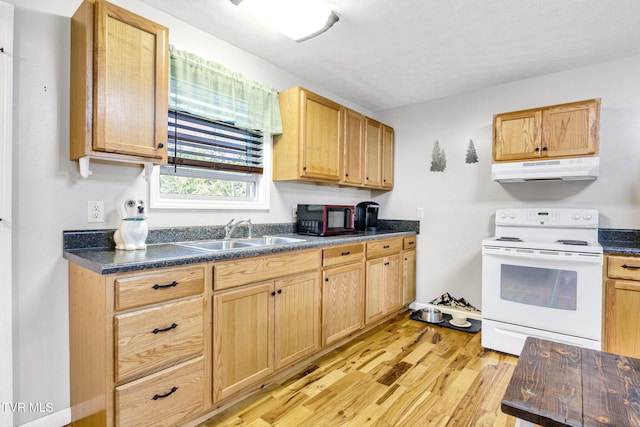 6720 Canton Rd, Blackwater, VA 24221 - photo 5
