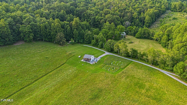 6720 Canton Rd, Blackwater, VA 24221 - photo 17
