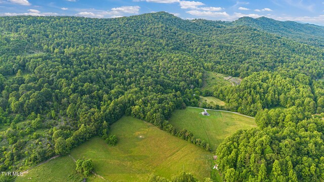 6720 Canton Rd, Blackwater, VA 24221 - photo 20