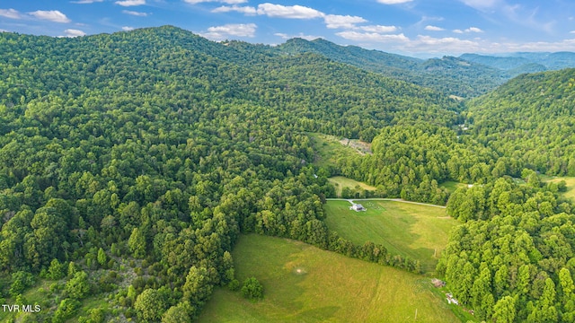6720 Canton Rd, Blackwater, VA 24221 - photo 21