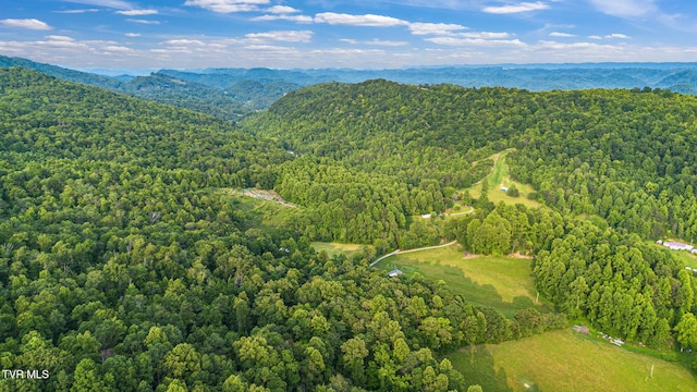6720 Canton Rd, Blackwater, VA 24221 - photo 22