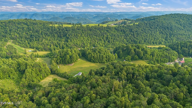 6720 Canton Rd, Blackwater, VA 24221 - photo 23