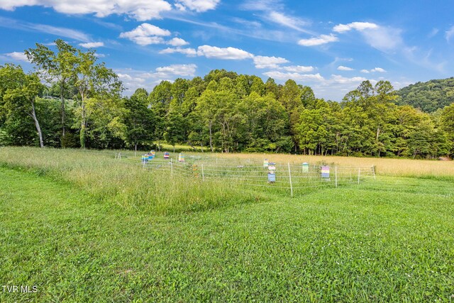 6720 Canton Rd, Blackwater, VA 24221 - photo 33