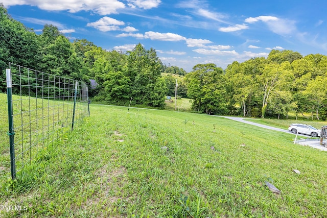 6720 Canton Rd, Blackwater, VA 24221 - photo 37