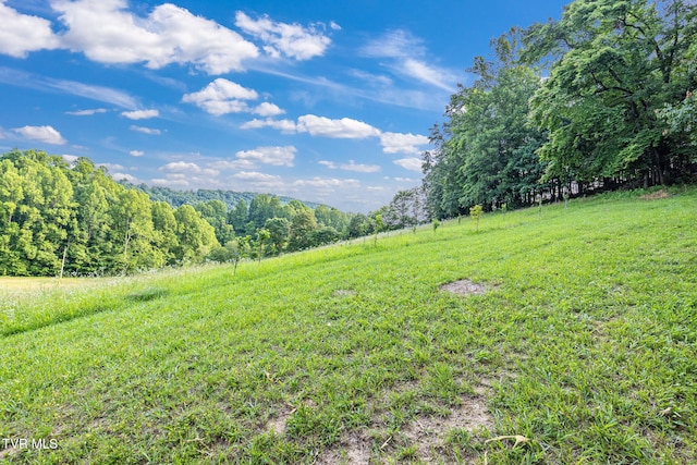 6720 Canton Rd, Blackwater, VA 24221 - photo 39