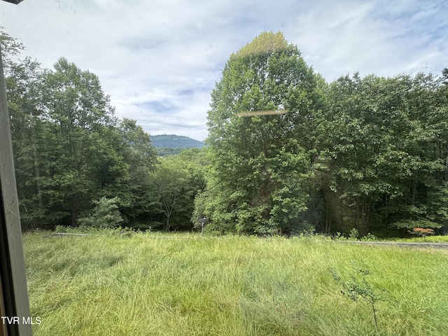 2401 Egan Rd, Big Stone Gap, VA 24219 - view of mountain background with a heavily wooded area
