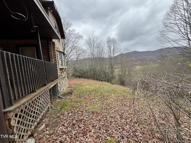 2401 Egan Rd, Big Stone Gap, VA 24219 - view of yard