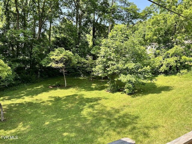 692 NE Hamner Ave, Norton, VA 24273 - view of green lawn