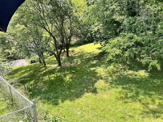 692 NE Hamner Ave, Norton, VA 24273 - view of yard