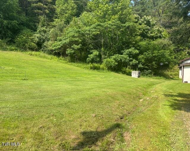 11616 Alfred Cox Rd, Pound, VA 24279 - view of green lawn featuring a wooded view