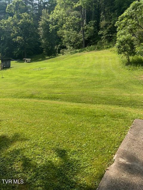 11616 Alfred Cox Rd, Pound, VA 24279 - view of grassy yard featuring a forest view