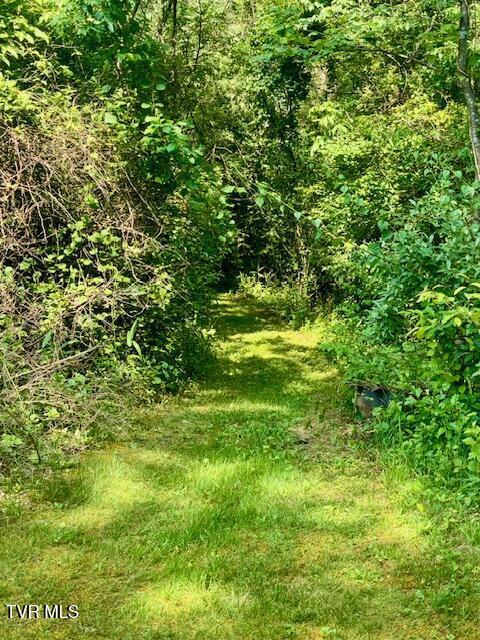 11616 Alfred Cox Rd, Pound, VA 24279 - view of nature