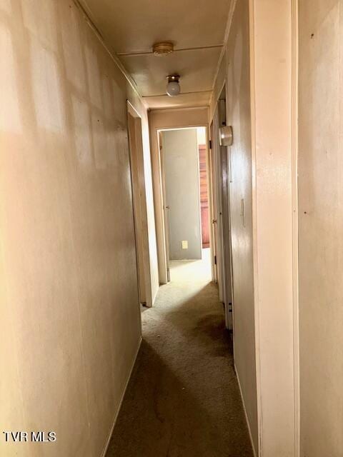 11616 Alfred Cox Rd, Pound, VA 24279 - hallway featuring carpet floors