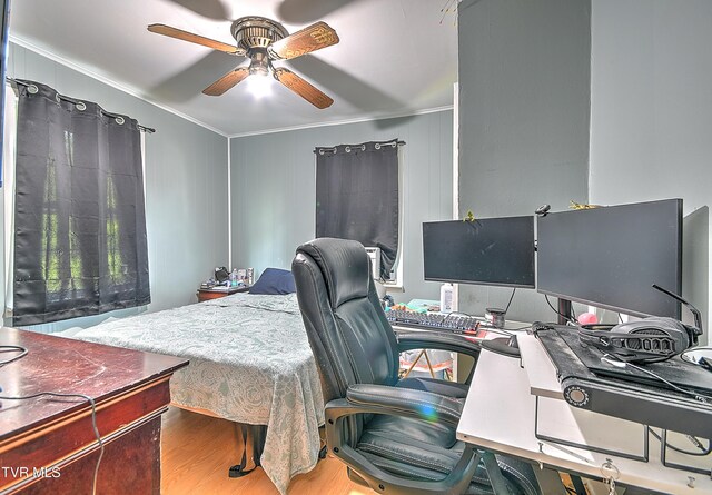 11 Birch St, Bristol, TN 37620 - bedroom with ornamental molding, wood finished floors, and a desk