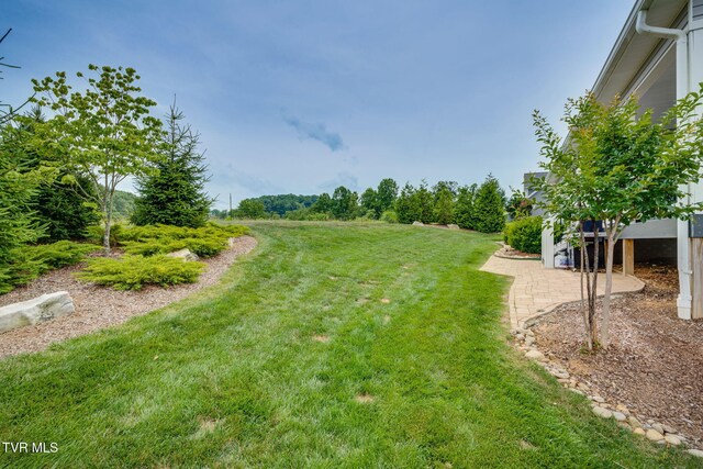 3137 London Rd, Kingsport, TN 37664 - photo 40