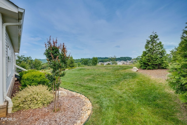 3137 London Rd, Kingsport, TN 37664 - view of grassy yard