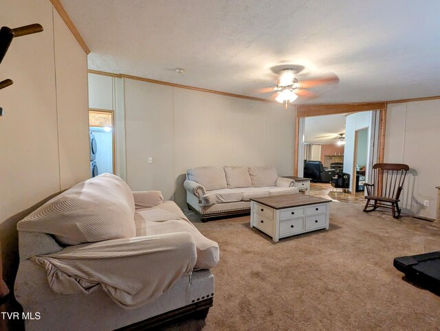 270 Payne Ridge Rd, Church Hill, TN 37642 - photo 38