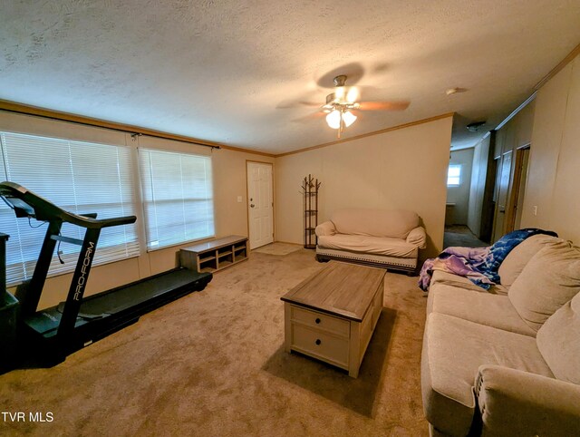 270 Payne Ridge Rd, Church Hill, TN 37642 - photo 40