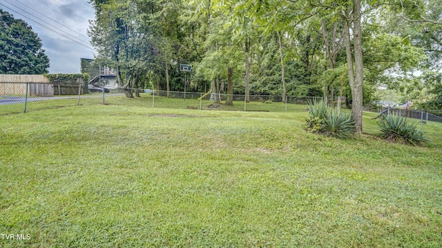 907 Baxter St, Johnson City, TN 37601 - photo 9
