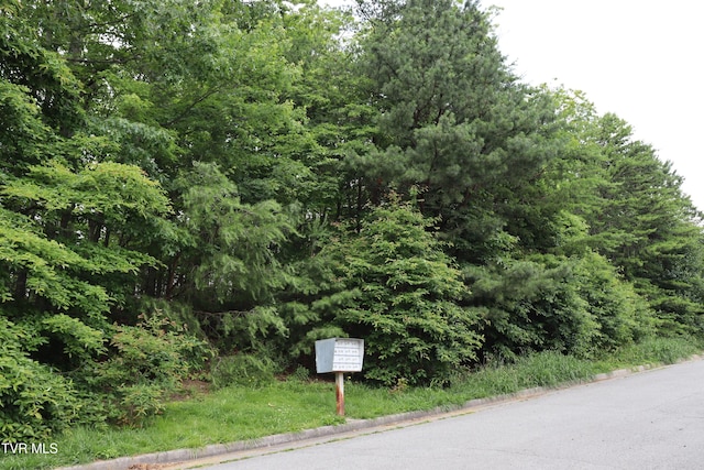 45 Laurel Rdg, Big Stone Gap, VA 24219 - view of asphalt road featuring curbs