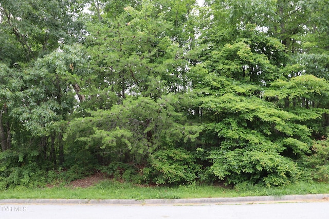 45 Laurel Rdg, Big Stone Gap, VA 24219 - view of nature