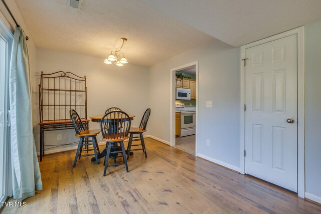 506 Pilgrim Ct Unit B, Johnson City, TN 37601 - photo 6