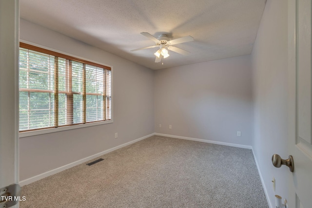 506 Pilgrim Ct Unit B, Johnson City, TN 37601 - photo 13