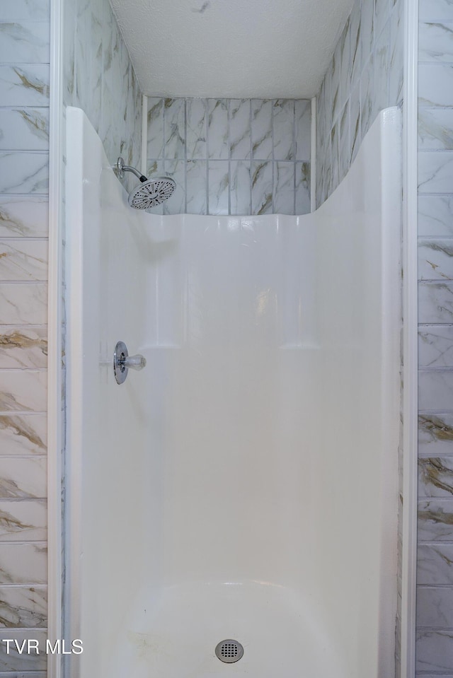 118 Hilbert Cir, Jonesborough, TN 37659 - bathroom with a shower
