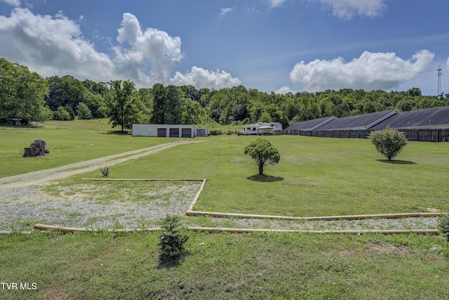 118 Hilbert Cir, Jonesborough, TN 37659 - view of yard with an outbuilding, a detached garage, and driveway