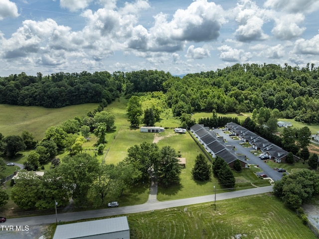 118 Hilbert Cir, Jonesborough, TN 37659 - aerial view