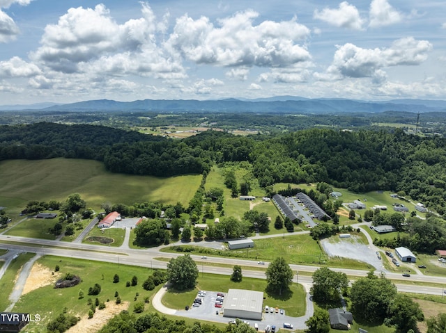 118 Hilbert Cir, Jonesborough, TN 37659 - bird's eye view of a mountain backdrop