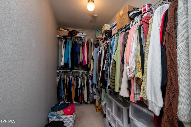395 Kings Rd, Piney Flats, TN 37686 - spacious closet featuring carpet